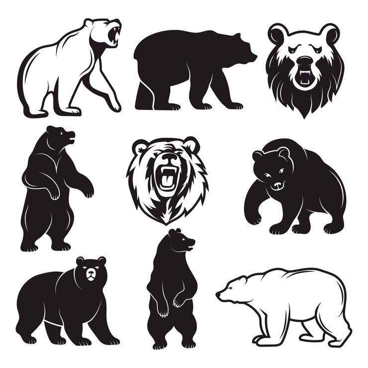 Vector bears zzx _set 2