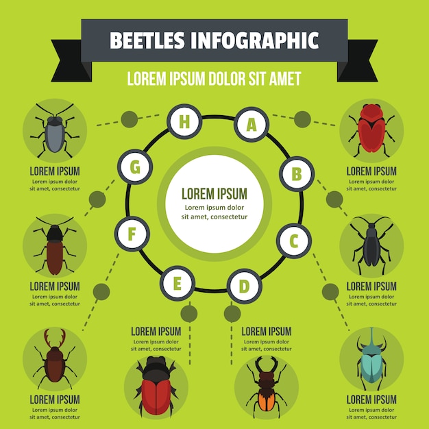 비틀즈 Infographic 개념, 평면 스타일