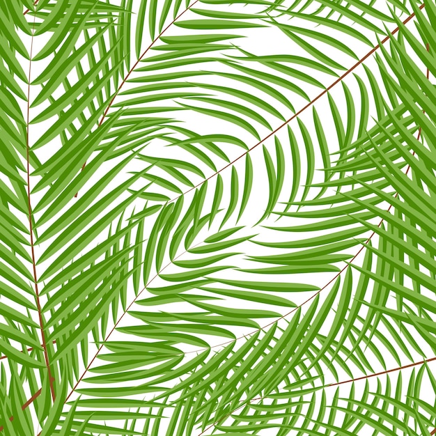 Beautifil Palm Tree Leaf Silhouet Naadloze Patroon Achtergrond