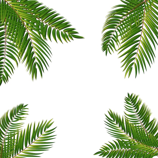 Beautifil Palm Tree Leaf Silhouette Background Vector Illustration EPS10