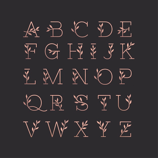 Bella collezione floreale monoline alphabet