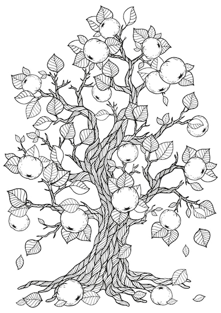 Beautiful apple tree drawing coloring page