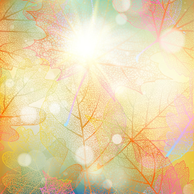 Vector beautiful autumn background with sun.