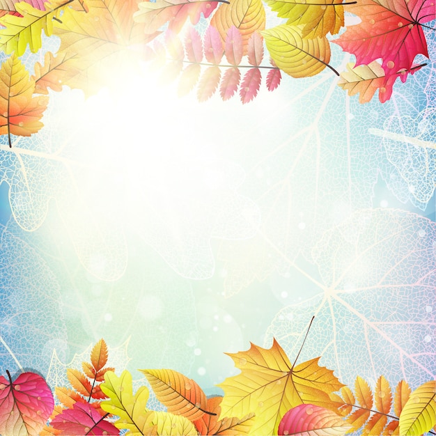 Beautiful autumn background with sun.