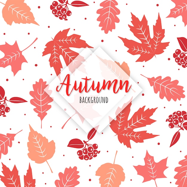 Beautiful autumn colorful leaves background