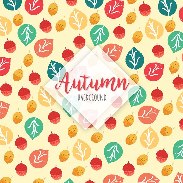 Vector beautiful autumn colorful leaves background
