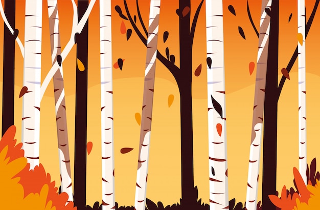 Vector beautiful autumn landscape scene with trees