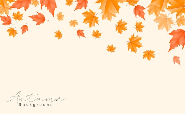 Beautiful autumn leaves background