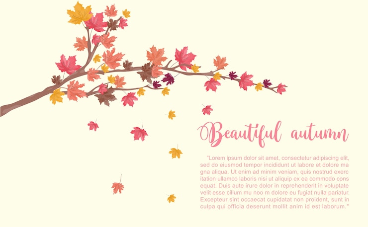 Vector beautiful autumn with autumn leaves falling. 