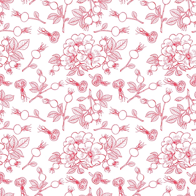Bellissimo sfondo di fiori e frutti di rosa canina. illustrazione disegnata a mano