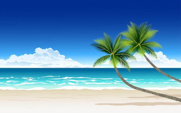 Красивый пляж в солнечный день с двумя пальмами
