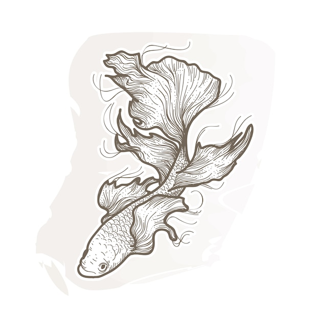 beautiful betta fish illustration