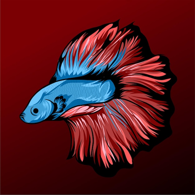 Vector beautiful betta fish illustration