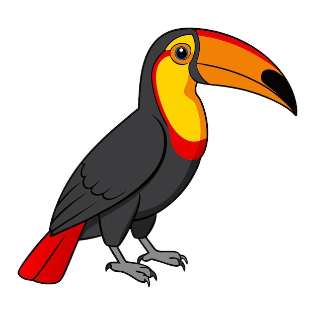 a beautiful bird keel billed toucan flat vector art illustration