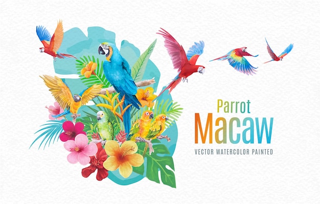 beautiful bird parrot macaw and flower of leaf hand paint watercolor on paper texture white background.