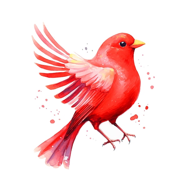 美しい鳥の水彩絵の具のイラスト