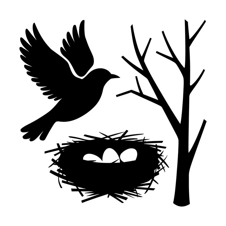 Vector beautiful bird