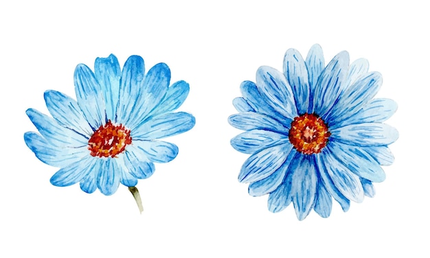 Вектор Красивые синие акварельные цветы на изолированном белом фоне