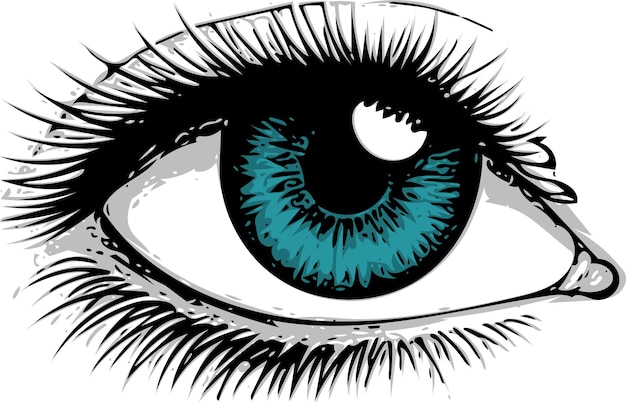Beautiful blue woman eye Vector illustration