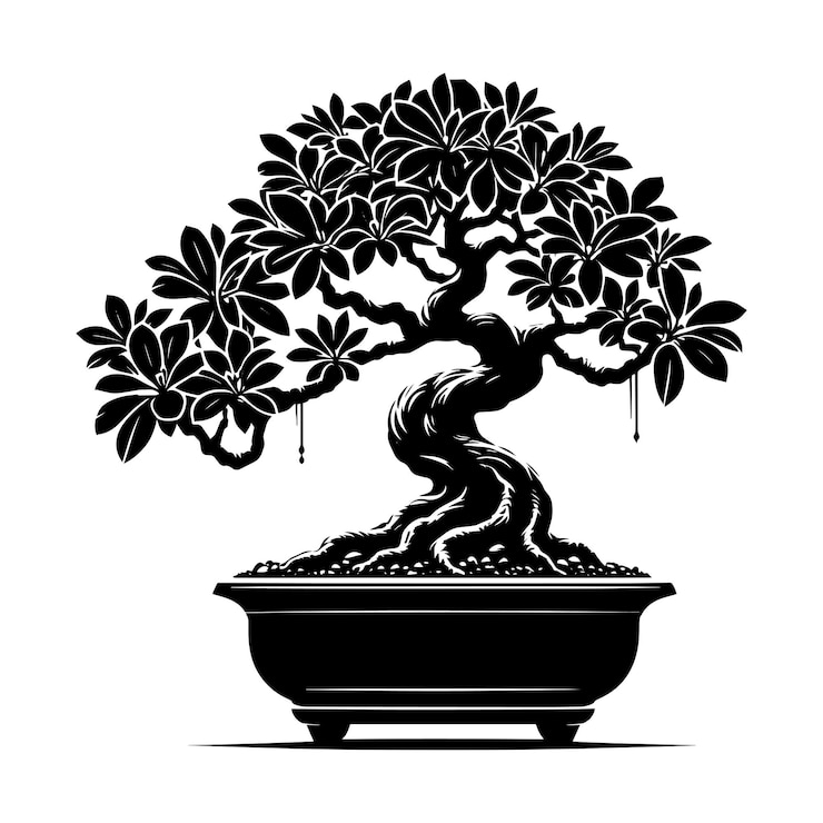 Vector beautiful bonsai tree silhouette vector illustration isolated on a white background