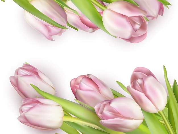 Beautiful bouquet of pink tulips. 