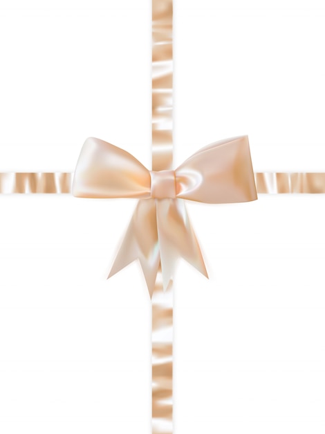 Vector beautiful bow on white background.