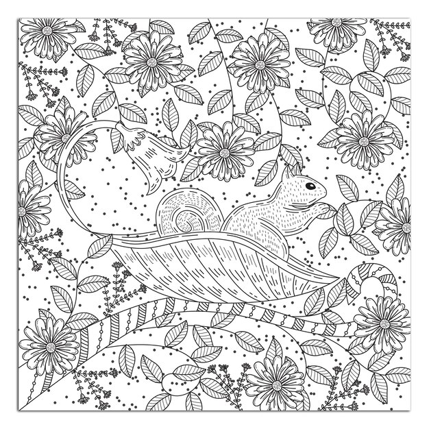 Vector beautiful butterfly birds animals coloring books pages and hand drawings