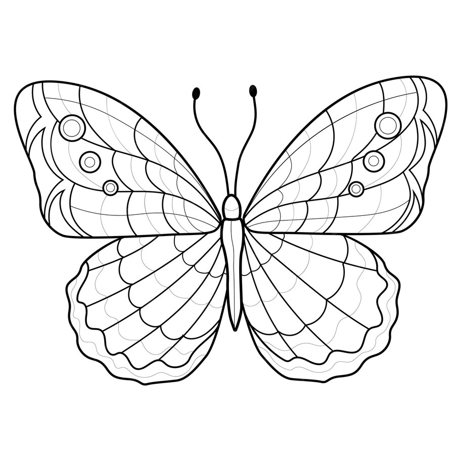 Premium Vector | Beautiful butterfly. coloring book antistress for ...