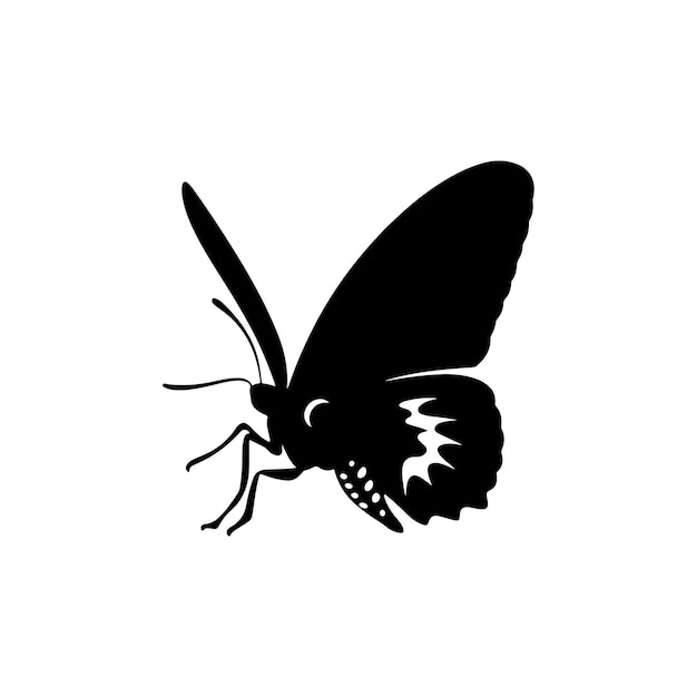 Vector beautiful butterfly silhouette