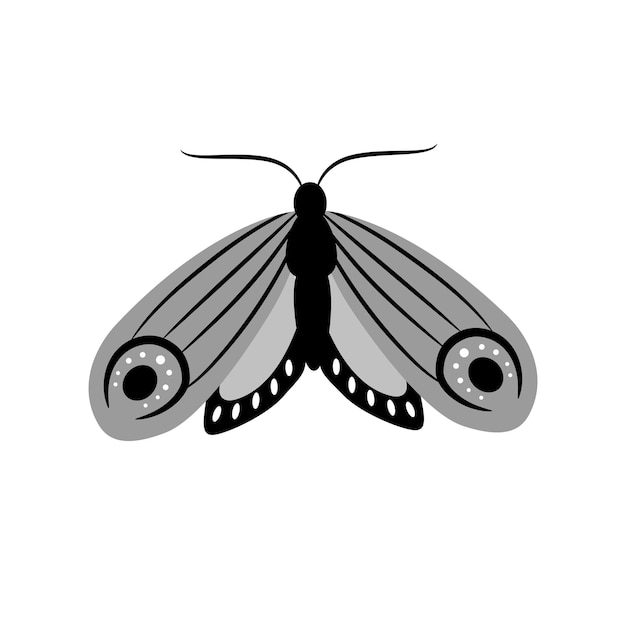 Beautiful butterfly on white background Vector black and white illustration for the design