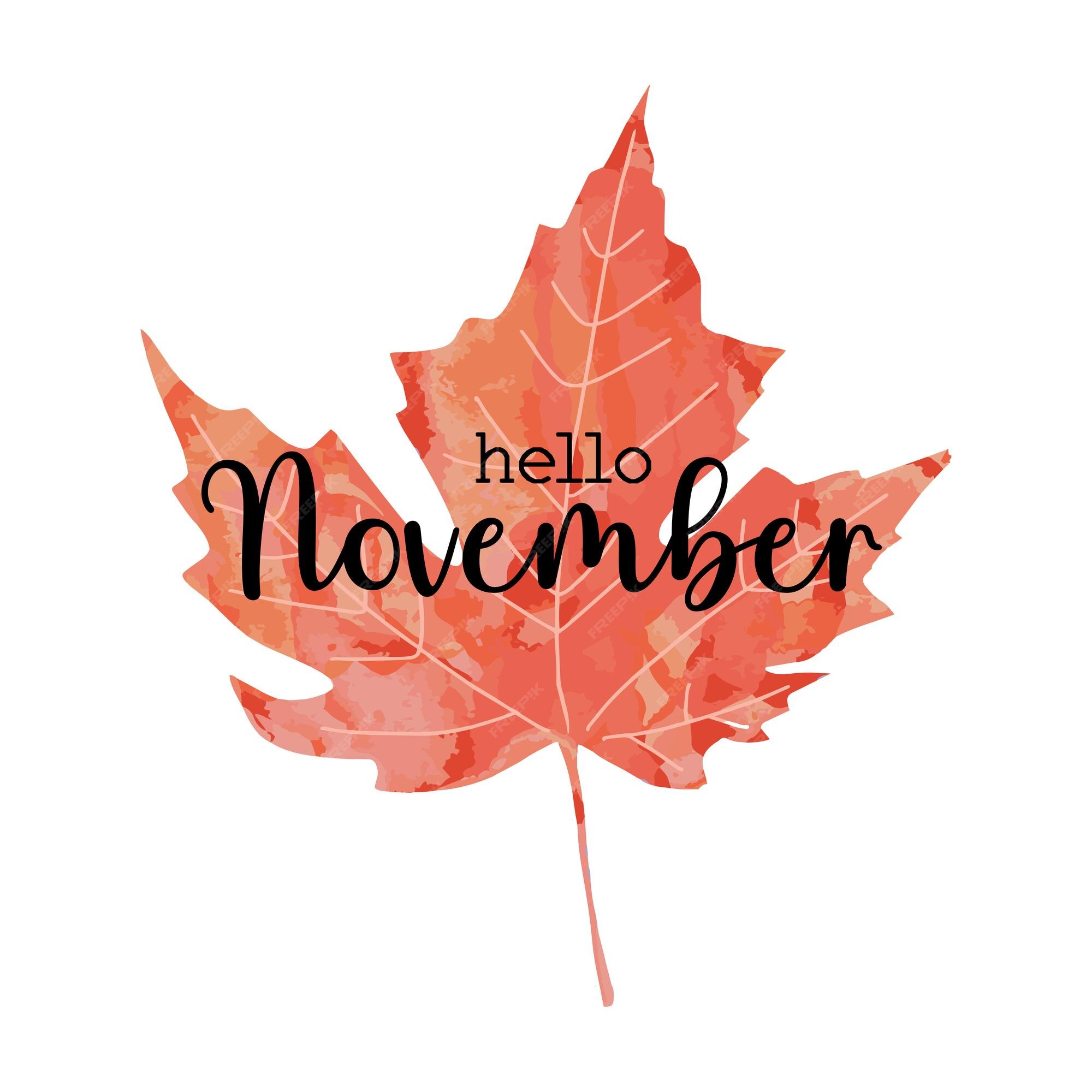 Premium Vector | Beautiful calligraphy lettering text hello november bright  orange red watercolor artistic maple leaf