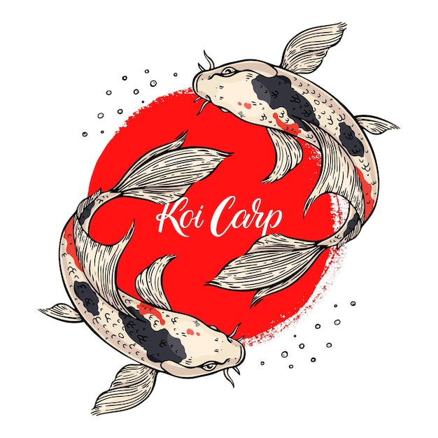 Beautiful card of koi carps and red circular stroke. Hand-drawn illustration