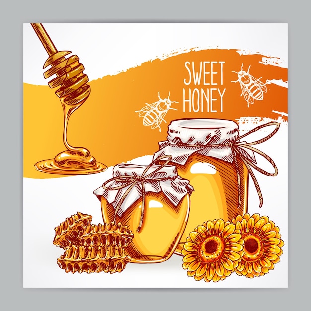 Вектор Красивая открытка с медом. банки меда, пчелы, соты. рисованная иллюстрация