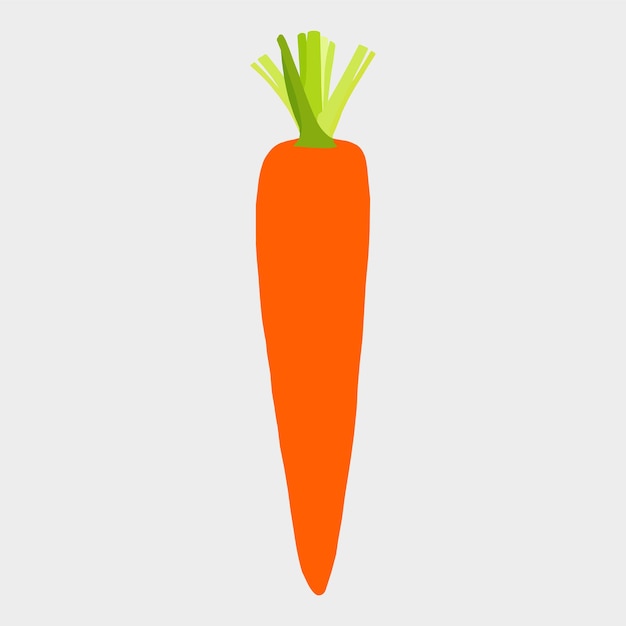 Vector a beautiful carrot vector artwork