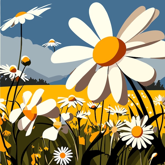 Beautiful chamomile growing in the meadow vector illustration