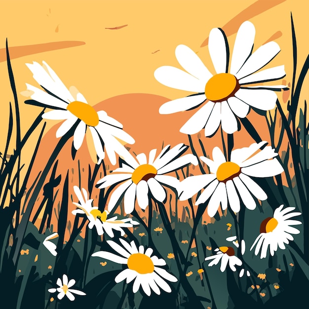 Vector beautiful chamomile growing in the meadow vector illustration