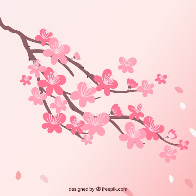 Vector beautiful cherry blossom background