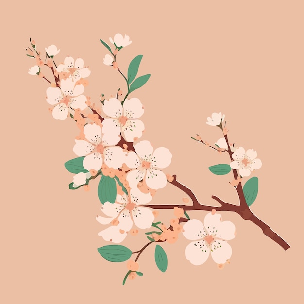 Vector beautiful cherry blossom branch in flat style illustration