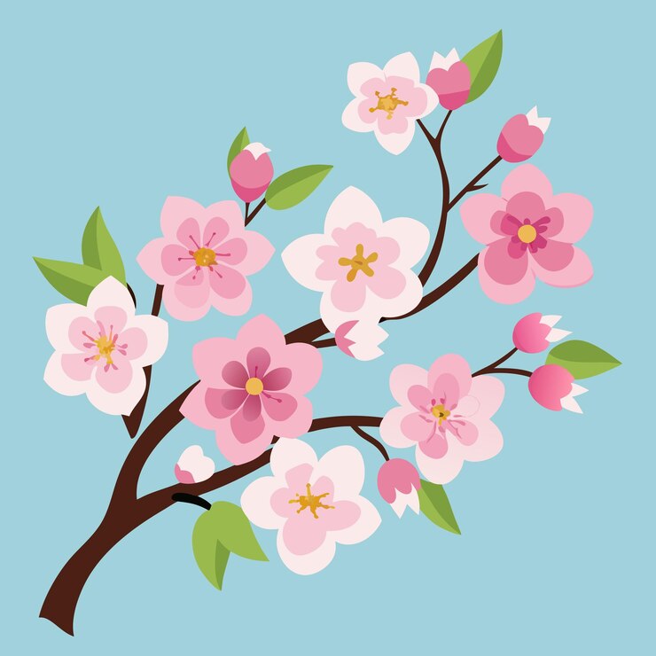 Vector beautiful cherry blossom sakura in spring time