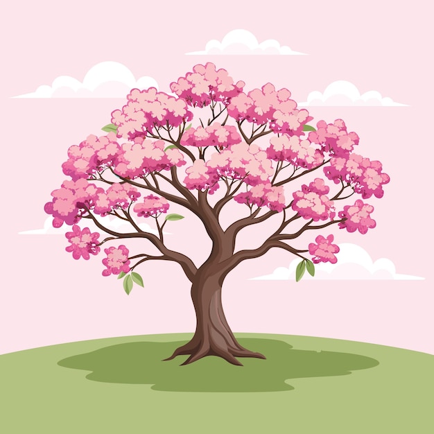 Vettore bellissimo albero di ciliegio con fiori rosa illustrazione di sakura vettore