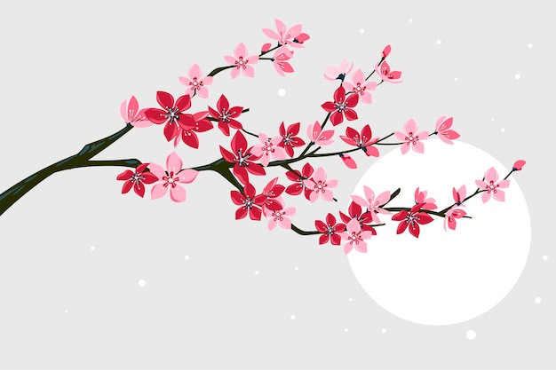 Beautiful Cherry Blosssom or Sakura Handdrawing Backgrounds