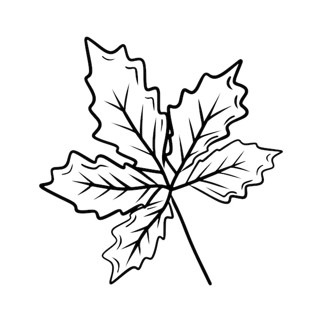 Красивый рисунок осенних листьев из каштана и грецкого ореха, изолированный на белом bavkground Ручной рисунок векторного эскиза в винтажном простом стиле с гравировкой