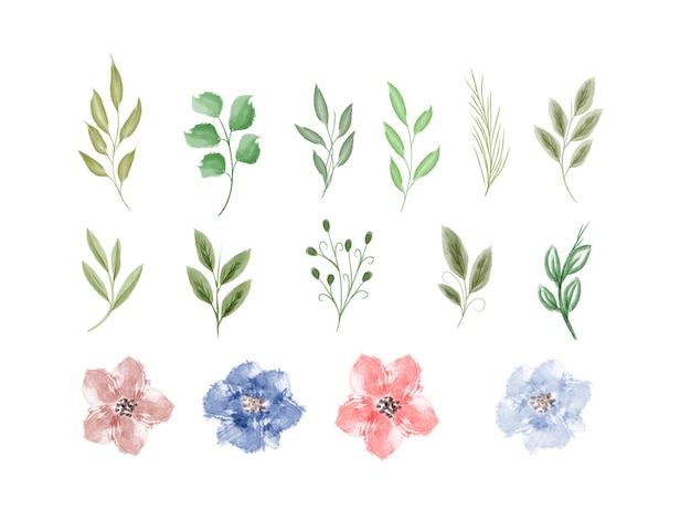 Beautiful collection of leaves and flower watercolor