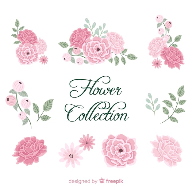 Beautiful collection of peony flowers in hand drawn style