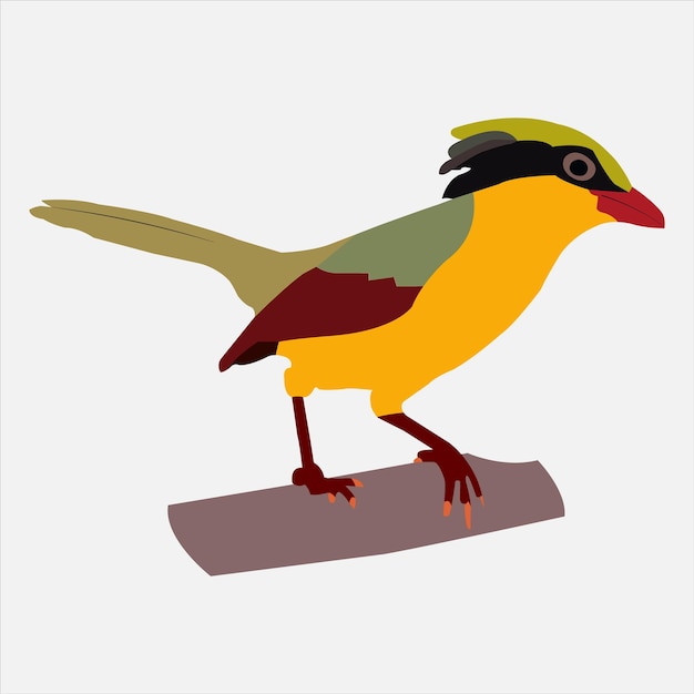 Vector a beautiful color bird vector artwork