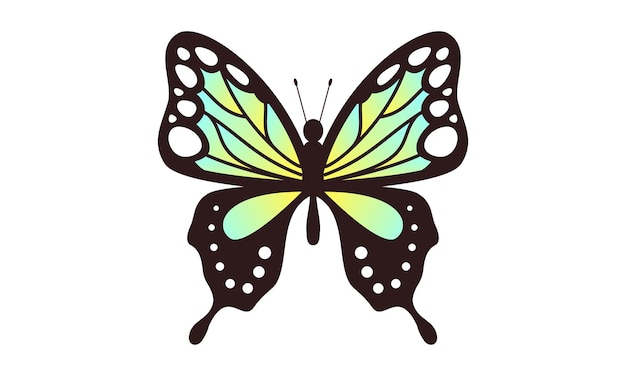 Beautiful color butterfly logo vector art illustration