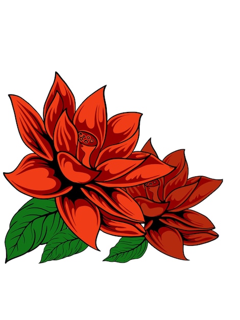 beautiful color floral design vector