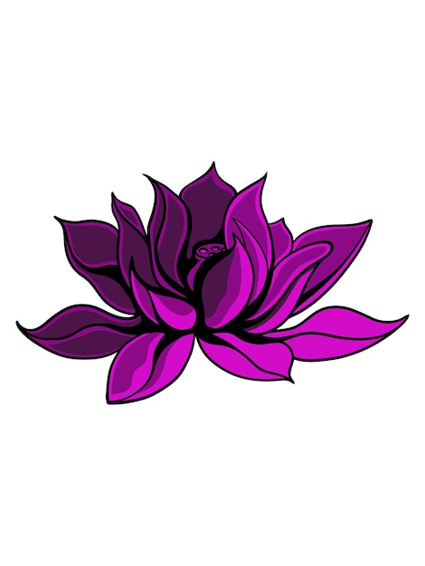 beautiful color floral design vector