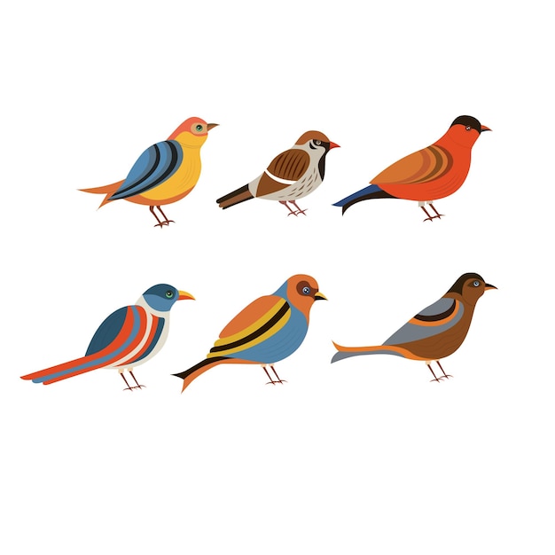 Vector beautiful colorful bird vector illustration