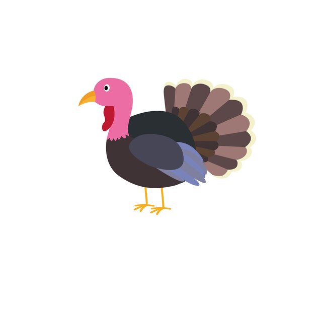 Beautiful And Colorful Feather Turkey Vector